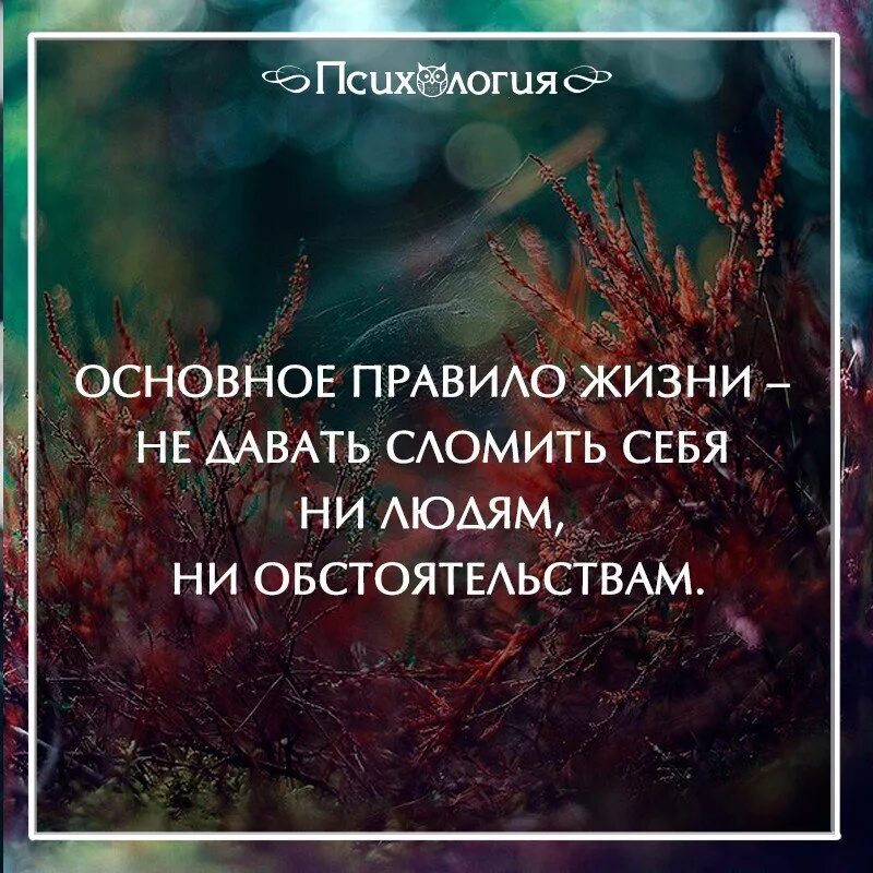 Важная проблема которую необходимо затронуть