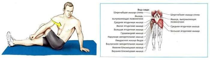 упражнения на спину. что делать при боли мышц ног. что делать при боли мышц ног. ноги боль икроножная мышца. упражнения для реабилитации коленных связок.