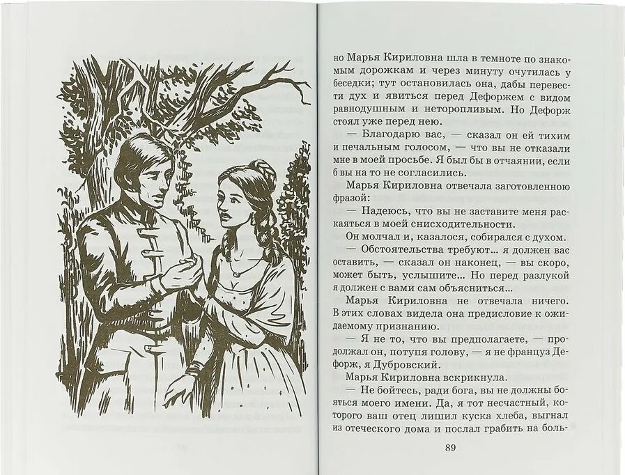 15 глава первая любовь. Произведение Пушкина Дубровский.