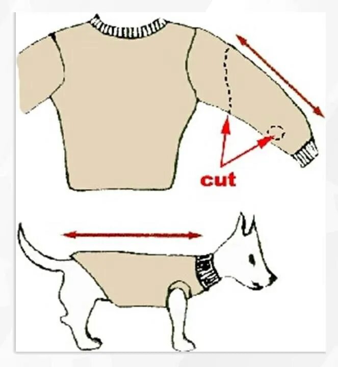 Шьем одежду для собак. Одежда для собак из рукава. Кофта для собаки. Выкройка одежды для собак. Собак своими руками рецепт