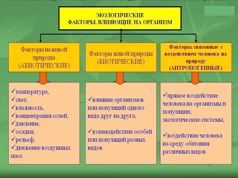 Влияние окружающей среды на развитие организмов. Экологические факторы влияющие на организм человека. Экологические факторы влияющие на человека. Влияние экологических факторов на здоровье. Воздействие экологических факторов на организм человека.