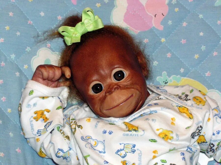 Живой пупсик. Живые куклы младенцы. Пупсик ashton drake. Пупсик живой. Живой пупсик.