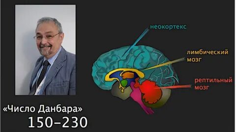 Мозга цифра 3