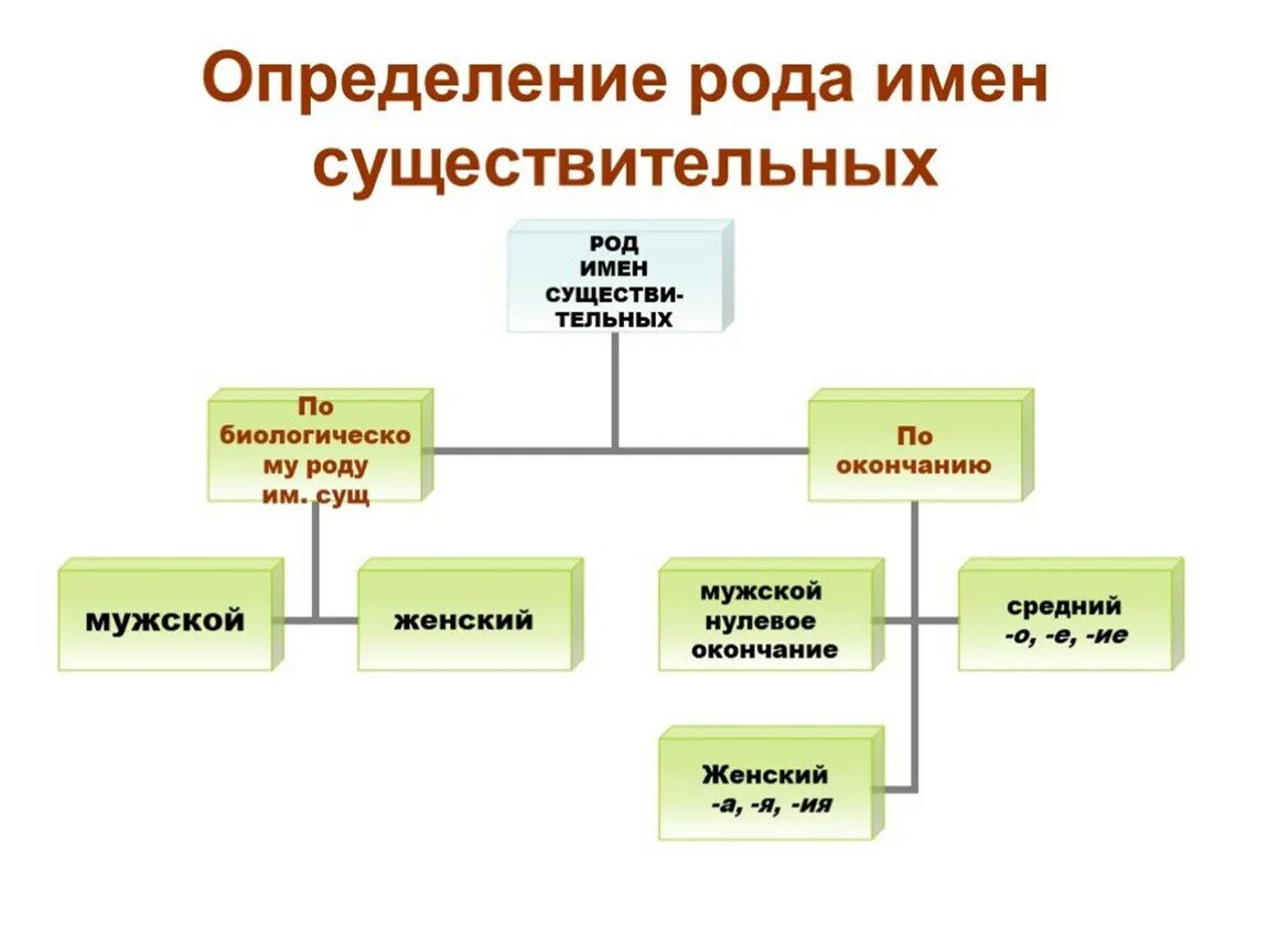 Определение рода имен существительных. Определение рода имени существительного. Определение рода имен. Определить род имени существительного. Гни род