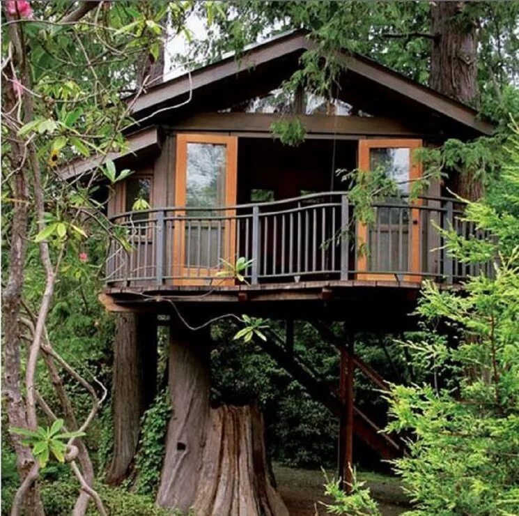 Из какого дерева сделан дом. Rumah pohon treehouse индонезия. дом на деревьях шотландия климанрюк. небольшой дом на дереве. небольшой домик на дереве.