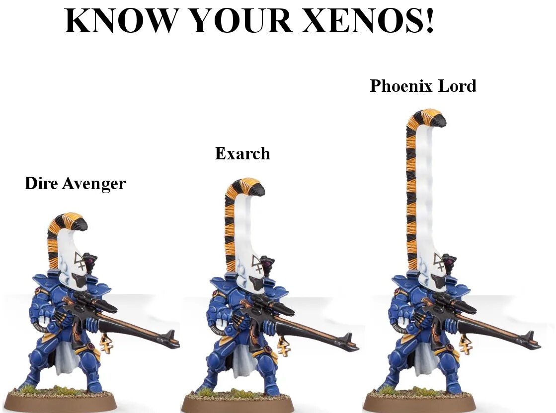 Dire. Dire Avengers. Dire Avengers Exarch. Яростные Мстители Эльдар.