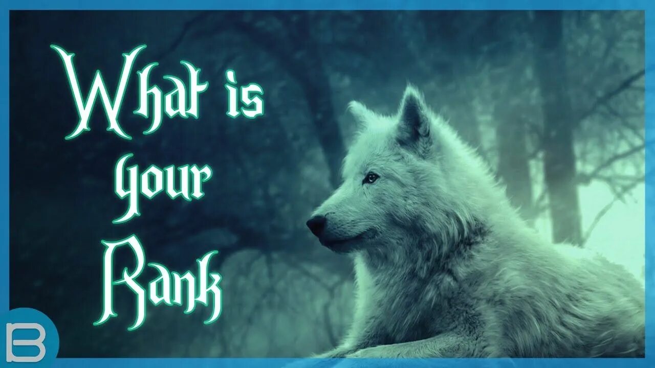 One with the wolves. One with the wolves