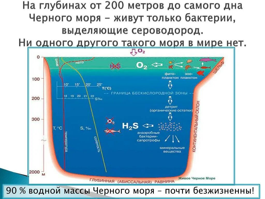 Глубина черного моря. Структура дна черного моря. Максимальная глубина черного моря. Глубина чёрного моря максимальная в метрах. Глубина черного средняя и максимальная