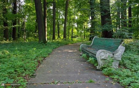 Погода райки щелковский