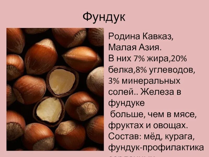 Орехи это белки или жиры. Родина фундука. Железа в фундуке. Фундук состав. Фундук Кавказ.