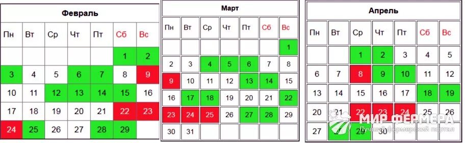 Благоприятные дни для пересадки в марте 2024г