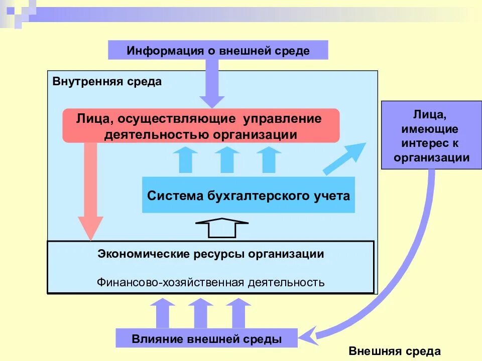 Основы бухгалтерского учета содержание. Основы бухгалтерского учета. организация как среда управления имеет. бухгалтерия внутренняя среда организации. картинка подсистема бухгалтерский учет.