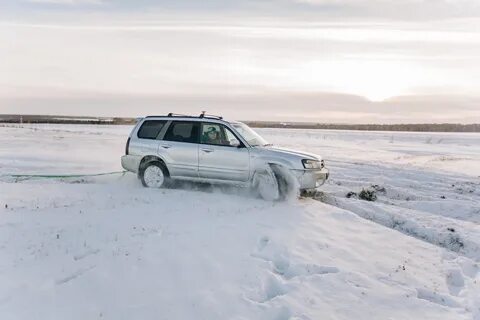 Погода днем в шумихе