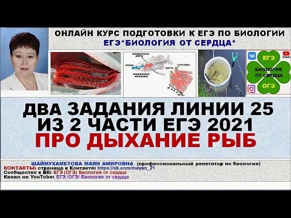 Насекомые егэ. Картинки из егэ по биологии рохлов. Линия 25 егэ биология. Насекомые егэ биология. Линия 25 егэ биология.