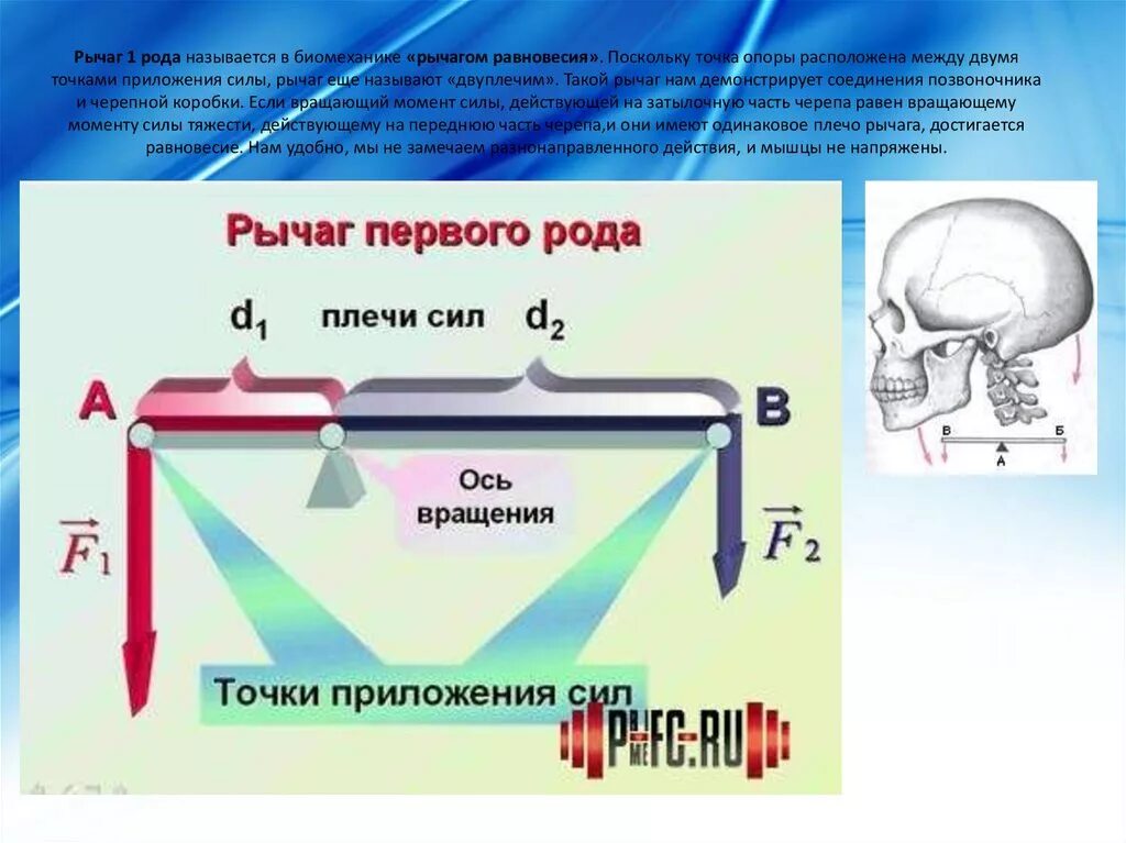 Первые в роду 2. Рычаг 1 рода в биомеханике. Рычаг 1 рода рычаг силы. Рычаг 2 рода в биомеханике. Рычаги первого и второго рода в биомеханике.