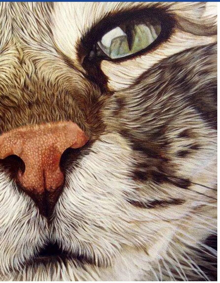 Включи рисунки животных. Рисунки животных. картины необычные кошки. art животные. нарисовать необычную кошку.