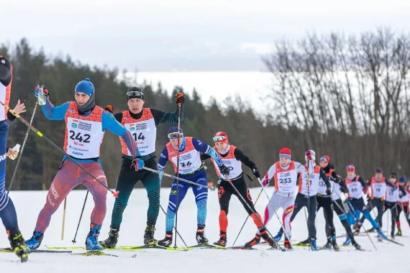 галическое заозерье 2024