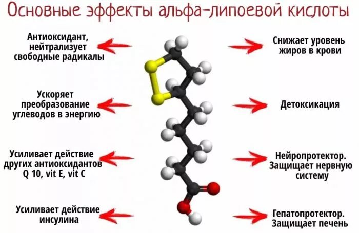 Альфа липоевая вред