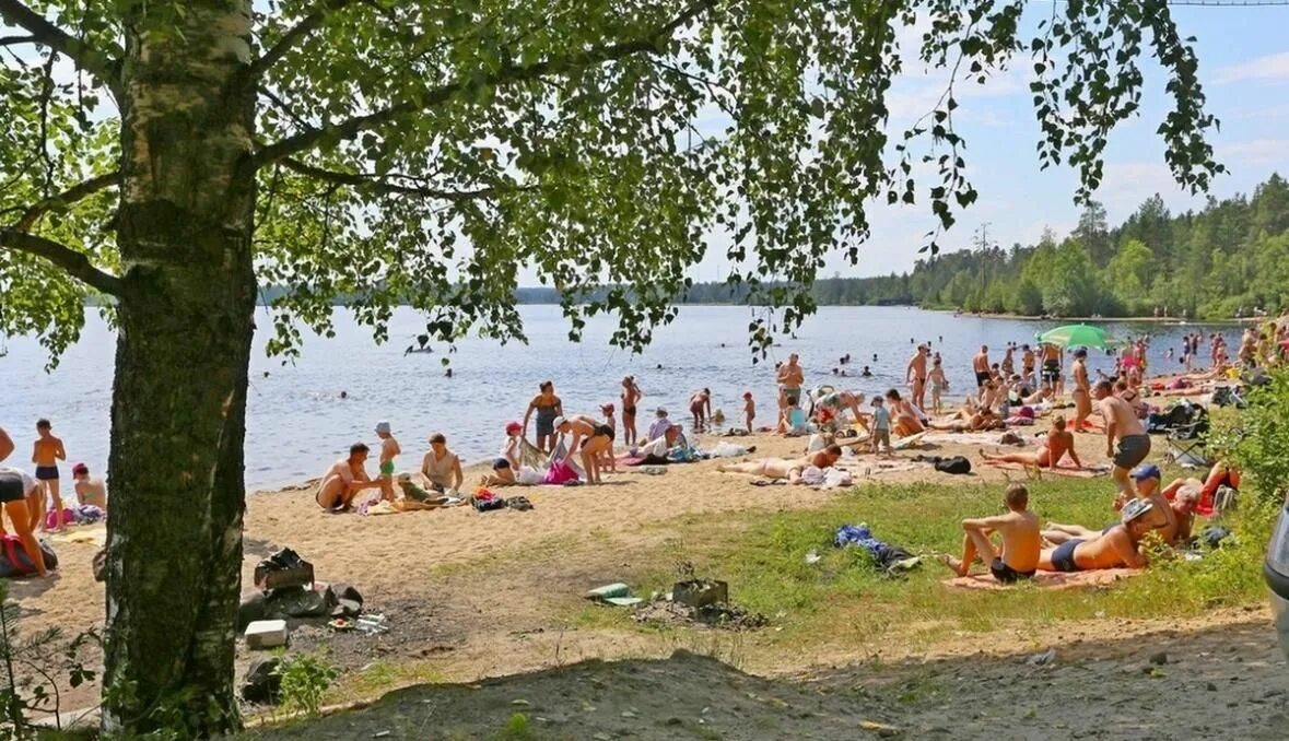 Где искупаться в петрозаводске. Где искупаться в петрозаводске. Петрозаводск пляж на онежском озере. Пляж лососинное петрозаводск. Где искупаться в петрозаводске.
