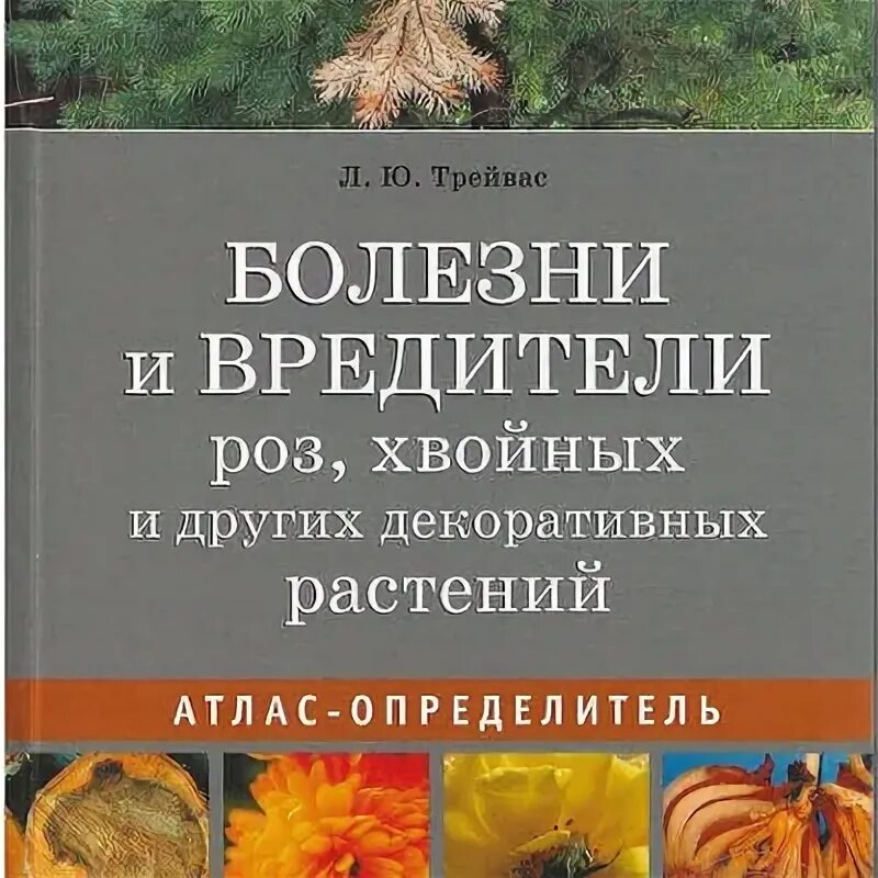 Трейвас л. Болезни и вредители хвойных растений. Атлас болезней и вредителей растений. Книга болезни и вредители плодовых растений. Болезни и вредители овощных культур атлас-определитель трейвас.