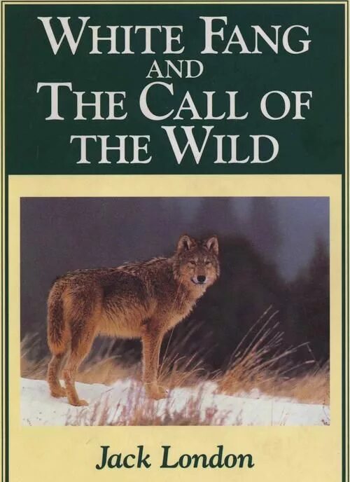 White fang jack london english book. Fang jack london. Fang jack london. Fang jack london. White fang jack london full books.
