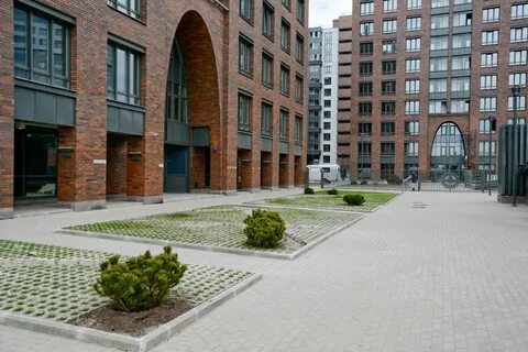 Четыре горизонта