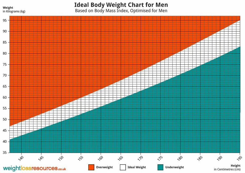 Clothing size chart. Size chart for t-shirt. Размерная сетка футболок адидас мужские. Size l jacket. Man chart.