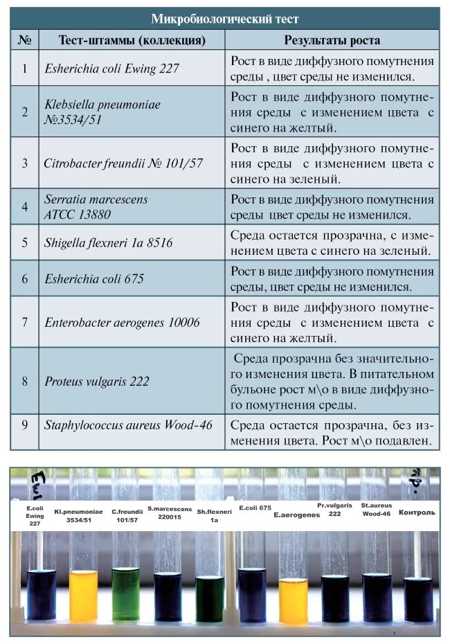 Среда выполнения кода. Среда выполнения кода