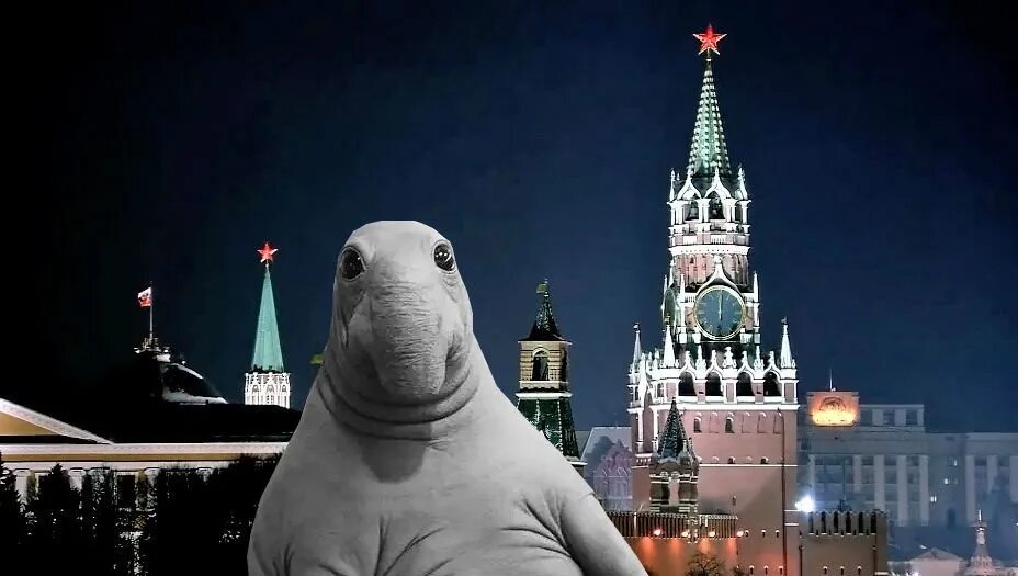 Слушать тот год был старый. Год был непростым. сложный год. мем этот год был тяжелым. дорогие друзья этот год был тяжелым.
