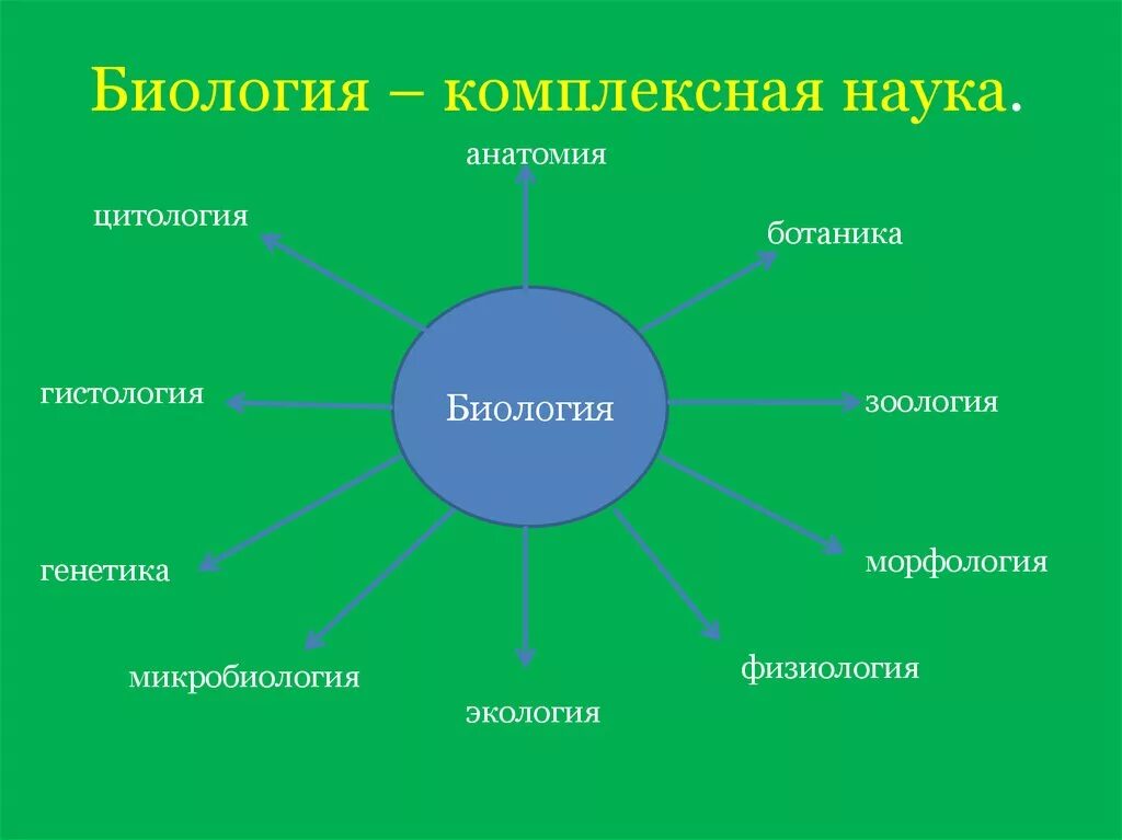 Биологические науки 5 класс биология ответы. Биология комплексная наука. Современная биология комплексная наука. Биология как комплексная наука. Биологические дисциплины схема.