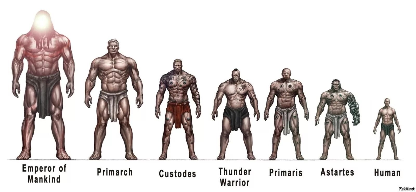 Height inherit