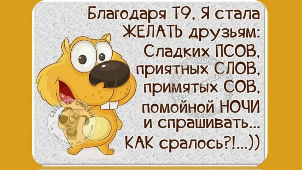 Статус д