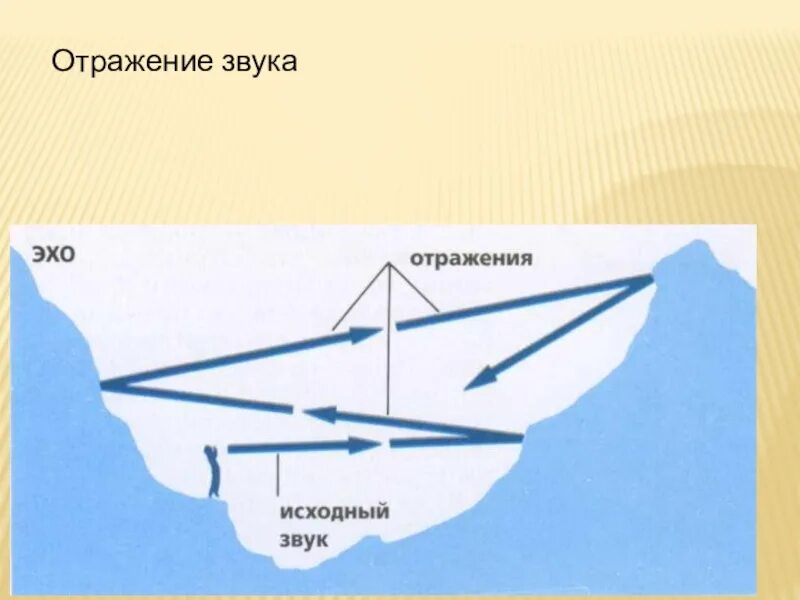 Просто эхо. Отражение звука. Отражение звука Эхо. Распространение и отражение звука. Отражение звука Эхо физика.