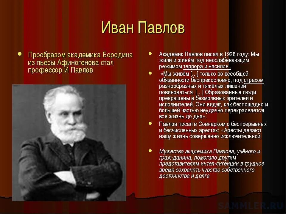 Академик Павлов. Павлов о русском уме 1932. Высказывание Академика Павлова о русском народе. Академик павлов россия