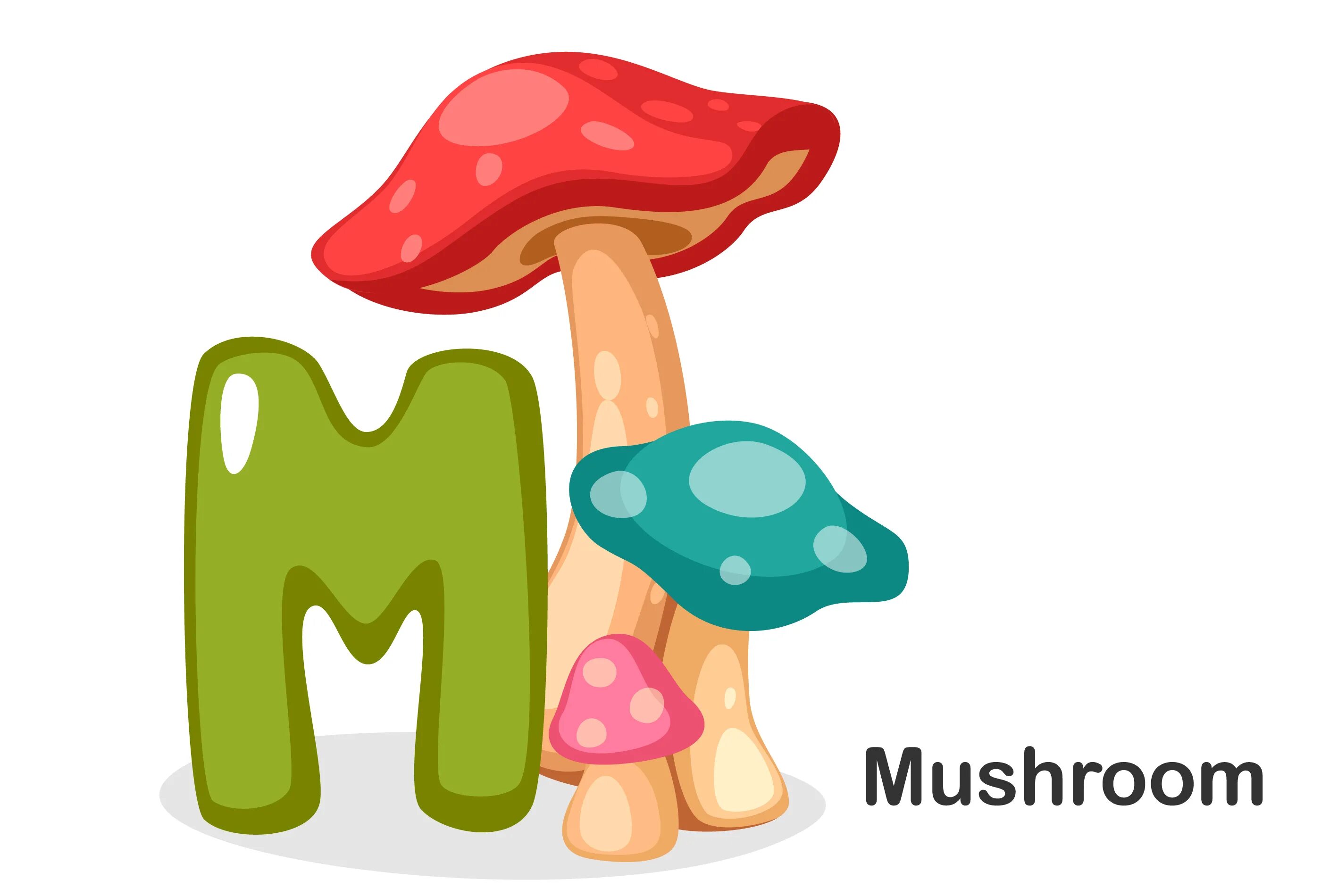 M mushroom. Береза и подберезовик. Как не отравиться галлюциногенными грибами. Грибы на белом фоне. M mushroom.