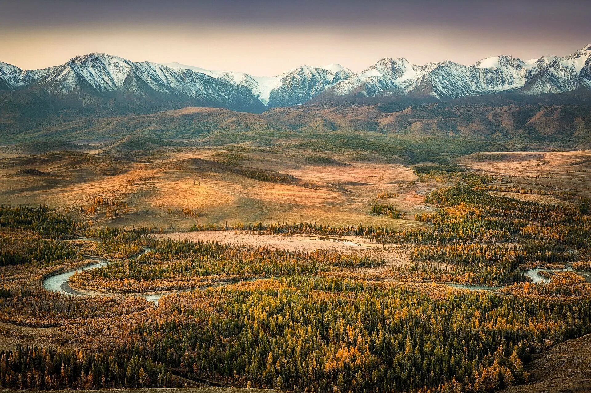 Степи Алтайского края. Катандинская степь Алтай. Кулундинская степь Алтайский край. Республика Алтай Горная степь.