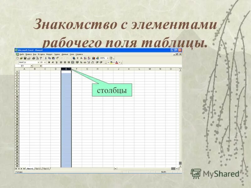 Описание табличного процессора microsoft excel. Рабочее поле окна. Элементы рабочего поля. Рабочая область в ворде. Элементы окна windows.