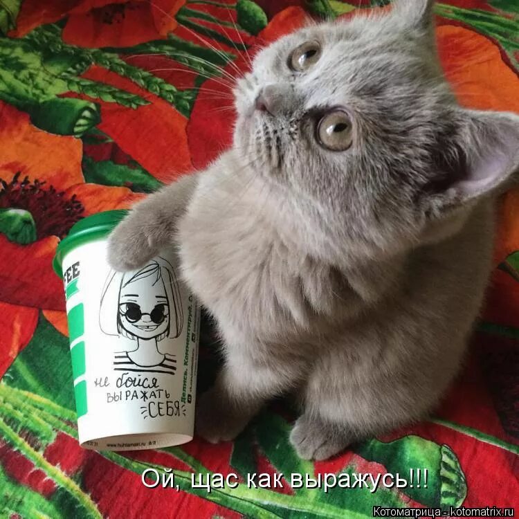 Ой сейчас посмотрю