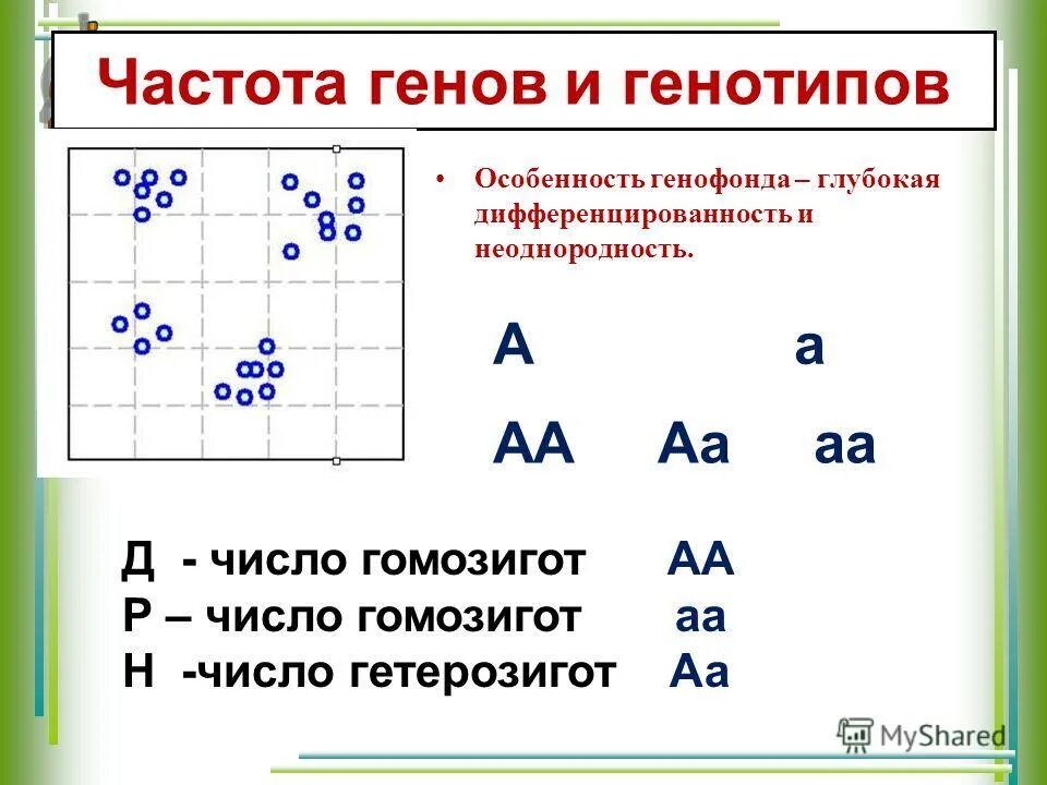 Нализирующее скрещивани. Схема анализирующего скрещивания. Анализирующее скрещивание пример. Генотип и фенотип. Аа и аа какой генотип.