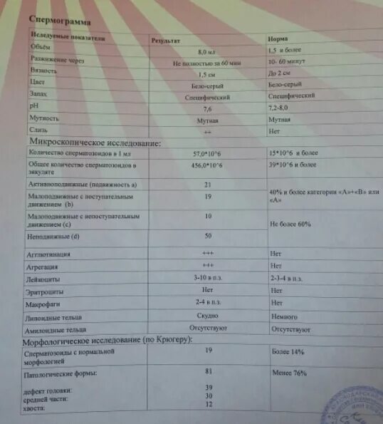 Спермограмма в санкт. Спермограмма расшифровка нормальные показатели. спермограмма микроскопия. микроскопическое исследование эякулята норма. микроскопия спермограмма расшифровка.