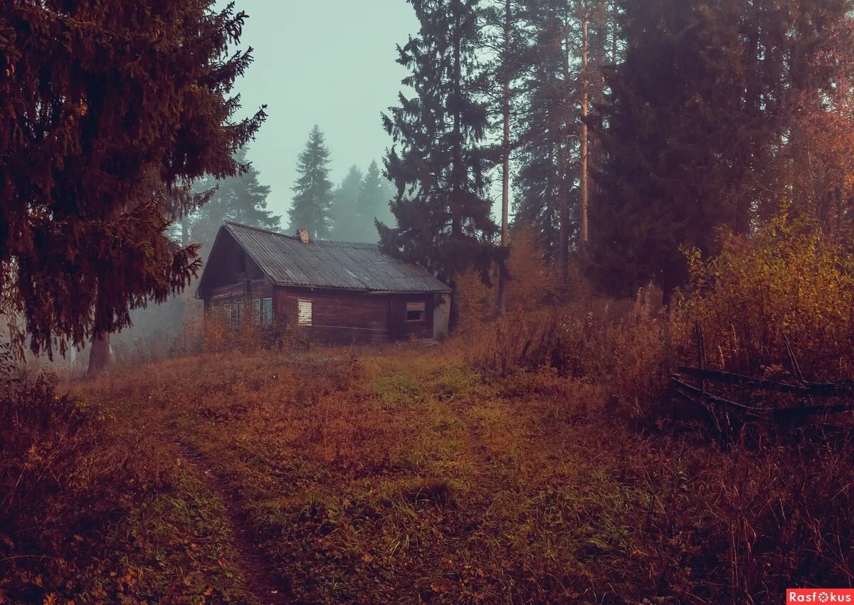 Другие сели в лесах. Домик в лесу. Домик в деревне. Пейзаж деревни. Дом у леса.