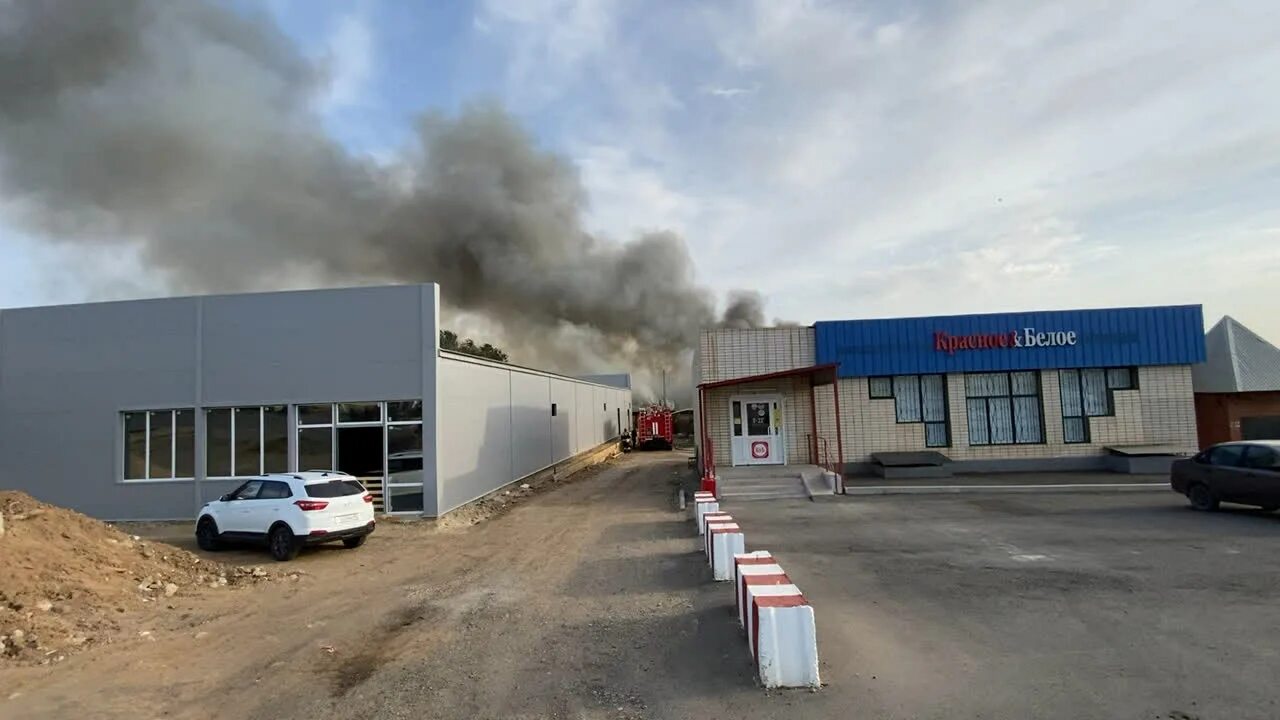 Нарн царн