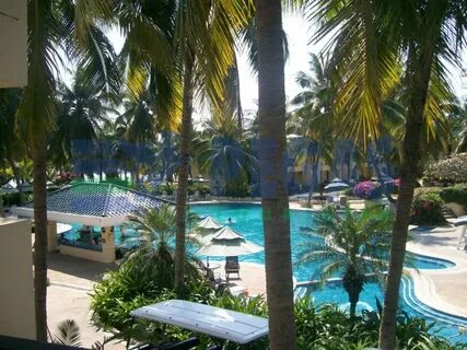 Palm beach resort spa санья отзывы