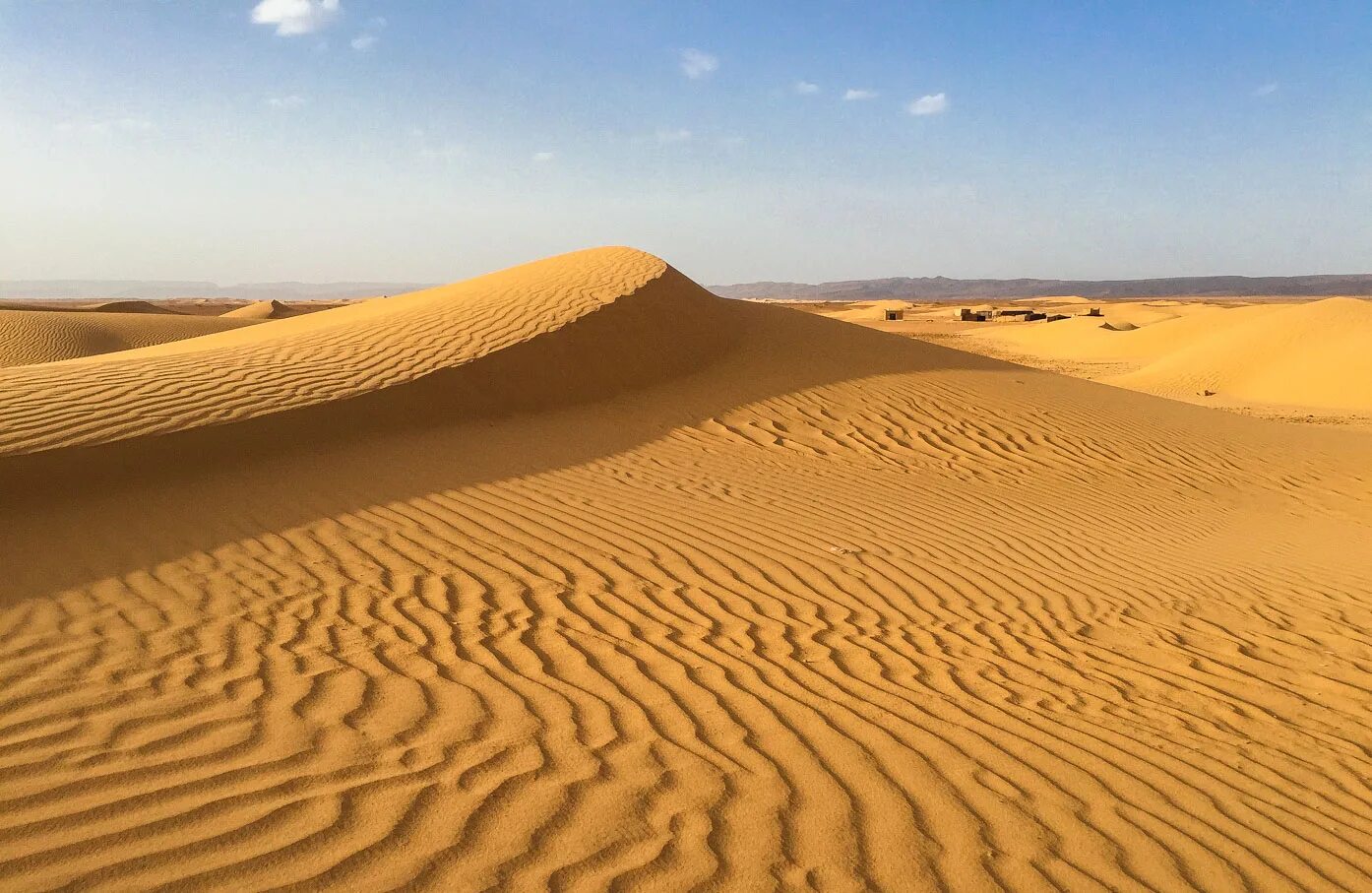 Барханы ханы. Бархан Сарыкум. Что такое дюны и Барханы в географии. Животный мир бархана Сарыкум. Золотой песок Барханы.