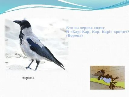 Кра ворона кража караул