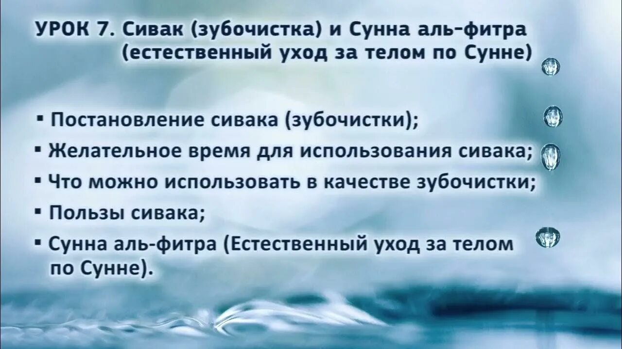 Что такое гусль