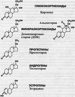 Типы гормонального влияния биохимия