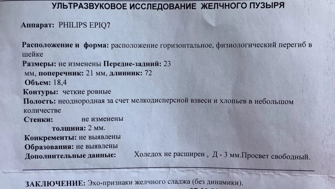 Желчный пузырь протокол