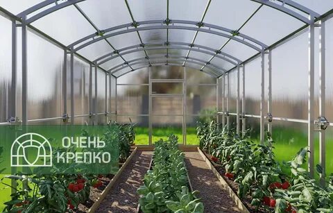 Теплица титан отзывы