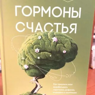 Научить мозг